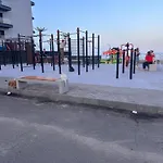 мини «чайка» * אודסה